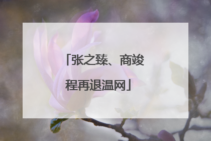 张之臻、商竣程再退温网