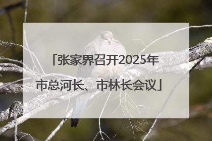 张家界召开2025年市总河长、市林长会议