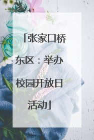 张家口桥东区：举办校园开放日活动