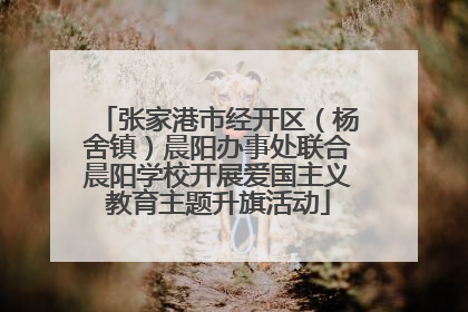 张家港市经开区（杨舍镇）晨阳办事处联合晨阳学校开展爱国主义教育主题升旗活动