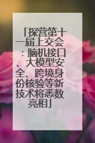 探营第十一届上交会：脑机接口、大模型安全、跨境身份核验等新技术将悉数亮相