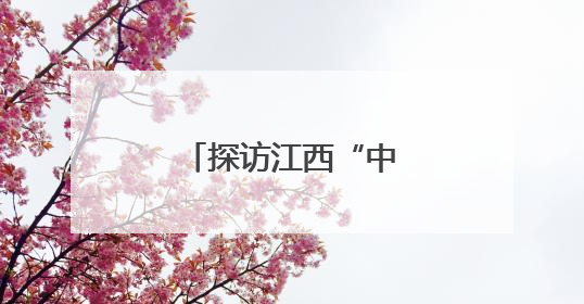 探访江西“中医夜市”：当药香邂逅烟火气