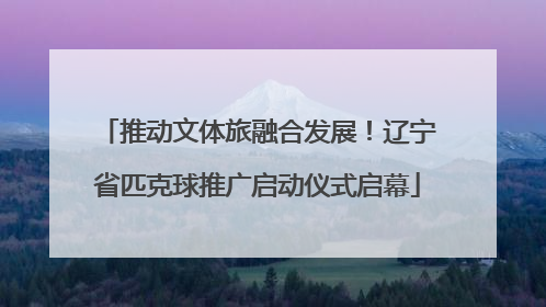 推动文体旅融合发展！辽宁省匹克球推广启动仪式启幕