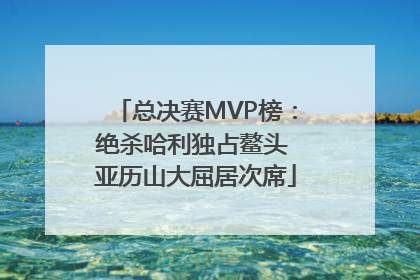 总决赛MVP榜：绝杀哈利独占鳌头 亚历山大屈居次席