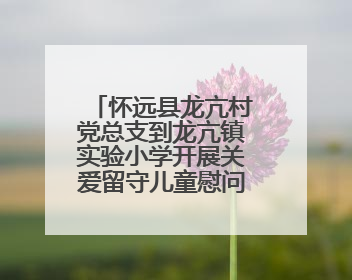 怀远县龙亢村党总支到龙亢镇实验小学开展关爱留守儿童慰问活动