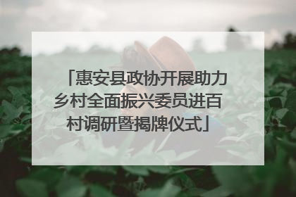 惠安县政协开展助力乡村全面振兴委员进百村调研暨揭牌仪式