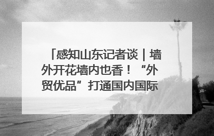 感知山东记者谈｜墙外开花墙内也香！“外贸优品”打通国内国际市场“旋转门”
