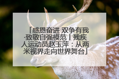 感恩奋进 双争有我·致敬自强模范丨残疾人运动员赵玉萍：从两米视界走向世界舞台