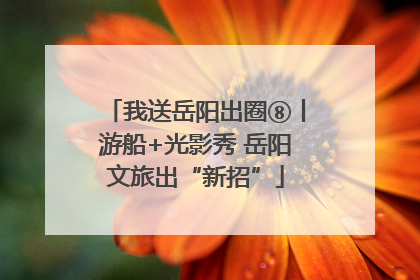 我送岳阳出圈⑧丨游船+光影秀 岳阳文旅出“新招”