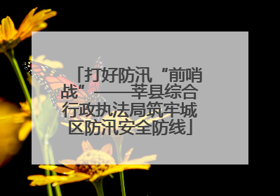 打好防汛“前哨战”——莘县综合行政执法局筑牢城区防汛安全防线