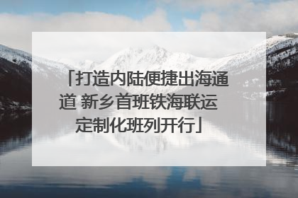 打造内陆便捷出海通道 新乡首班铁海联运定制化班列开行