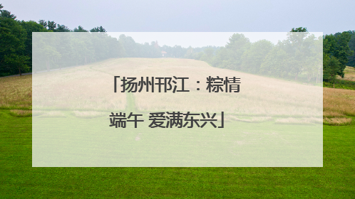 扬州邗江：粽情端午 爱满东兴