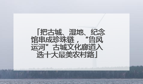 把古城、湿地、纪念馆串成珍珠链，“鲁风运河”古城文化廊道入选十大最美农村路