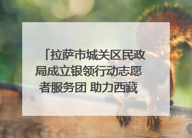 拉萨市城关区民政局成立银领行动志愿者服务团 助力西藏银发经济发展