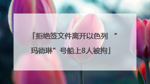 拒绝签文件离开以色列 “玛德琳”号船上8人被拘