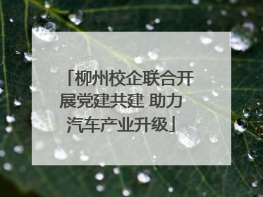 柳州校企联合开展党建共建 助力汽车产业升级