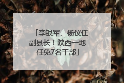 李银军、杨仪任副县长！陕西一地任免7名干部