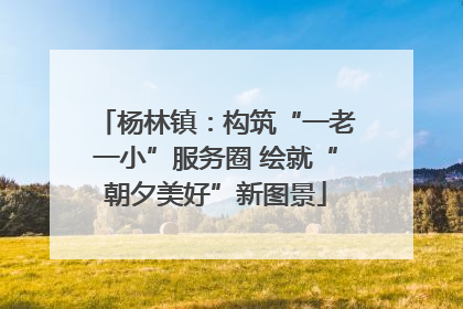 杨林镇：构筑“一老一小”服务圈 绘就“朝夕美好”新图景