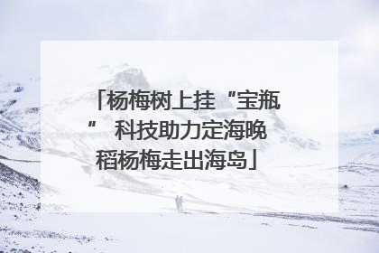 杨梅树上挂“宝瓶” 科技助力定海晚稻杨梅走出海岛