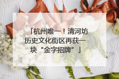 杭州唯一！清河坊历史文化街区再获一块“金字招牌”