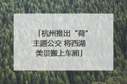 杭州推出“荷”主题公交 将西湖美景搬上车厢