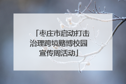 枣庄市启动打击治理跨境赌博校园宣传周活动