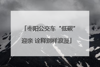 枣阳公交车“低碳”迎亲 诠释别样浪漫