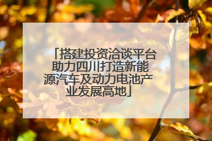 搭建投资洽谈平台 助力四川打造新能源汽车及动力电池产业发展高地