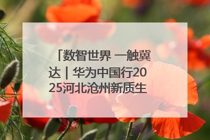 数智世界 一触冀达｜华为中国行2025河北沧州新质生产力峰会成功举办