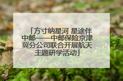 方寸纳星河 星途伴中邮——中邮保险京津冀分公司联合开展航天主题研学活动