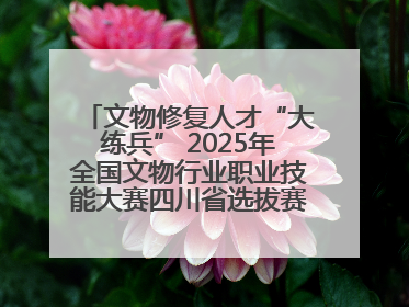 文物修复人才“大练兵” 2025年全国文物行业职业技能大赛四川省选拔赛即将启幕
