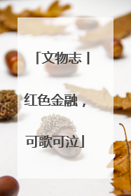 文物志丨红色金融，可歌可泣
