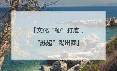 文化“梗”打底，“苏超”踢出圈