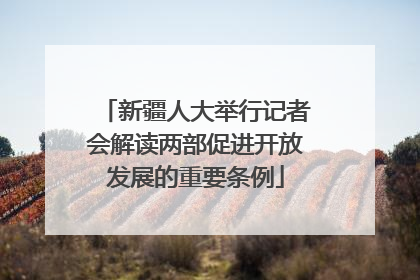 新疆人大举行记者会解读两部促进开放发展的重要条例