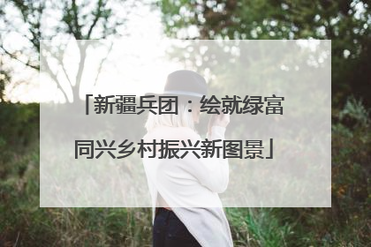 新疆兵团：绘就绿富同兴乡村振兴新图景