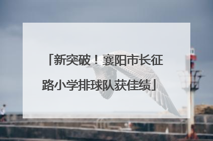 新突破！襄阳市长征路小学排球队获佳绩