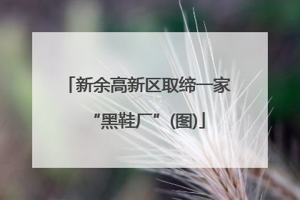 新余高新区取缔一家“黑鞋厂”(图)