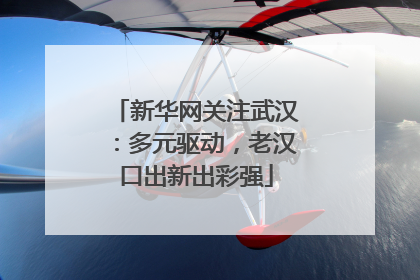 新华网关注武汉：多元驱动，老汉口出新出彩强