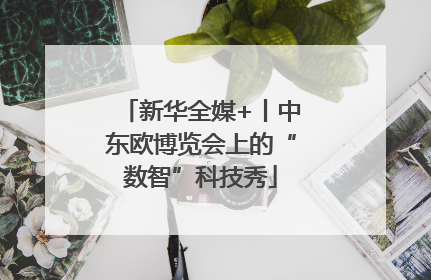 新华全媒+丨中东欧博览会上的“数智”科技秀