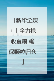 新华全媒+丨全力抢收夏粮 确保颗粒归仓