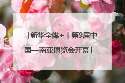新华全媒+丨第9届中国—南亚博览会开幕