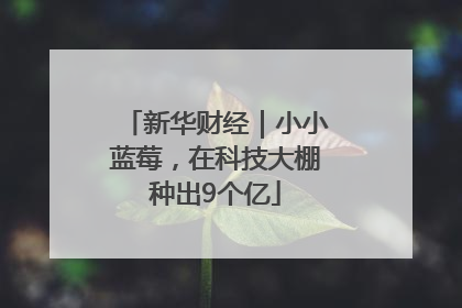 新华财经｜小小蓝莓，在科技大棚种出9个亿