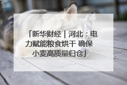 新华财经｜河北：电力赋能粮食烘干 确保小麦高质量归仓