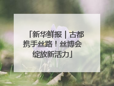 新华鲜报｜古都携手丝路！丝博会绽放新活力