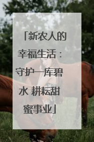新农人的幸福生活：守护一库碧水 耕耘甜蜜事业