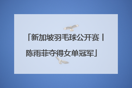 新加坡羽毛球公开赛丨陈雨菲夺得女单冠军