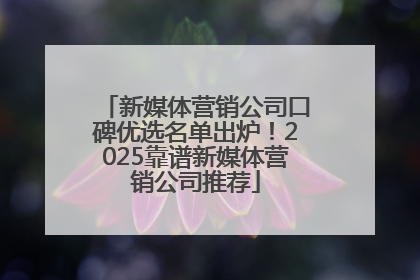 新媒体营销公司口碑优选名单出炉！2025靠谱新媒体营销公司推荐