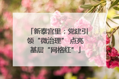 新泰宫里：党建引领“微治理” 点亮基层“网格红”