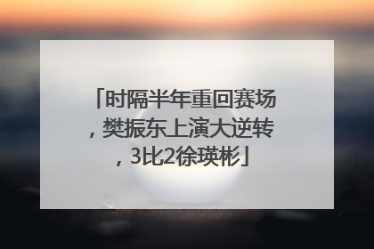 时隔半年重回赛场，樊振东上演大逆转，3比2徐瑛彬