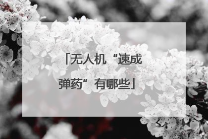 无人机“速成弹药”有哪些